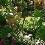 Apartament Jasna