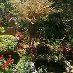 Apartament Jasna *