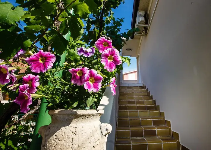 Apartman Jasna