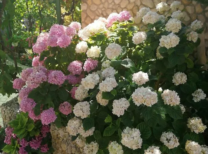 Apartman Jasna Rab Town