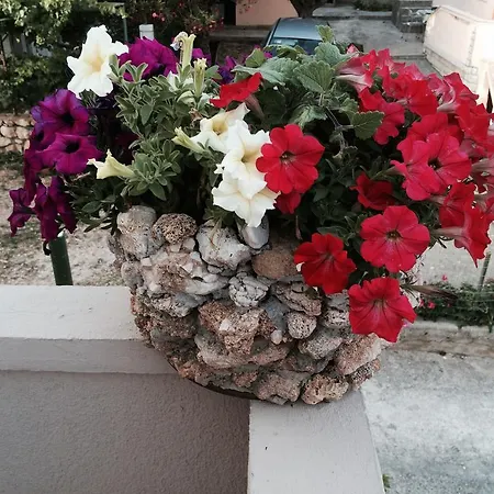 Apartment Jasna *