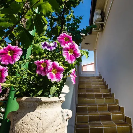 Apartment Jasna
