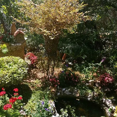 Apartman Jasna *