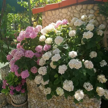 Apartment Jasna Rab Town
